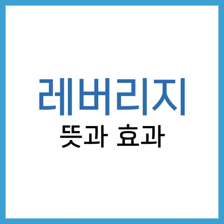 레버리지뜻