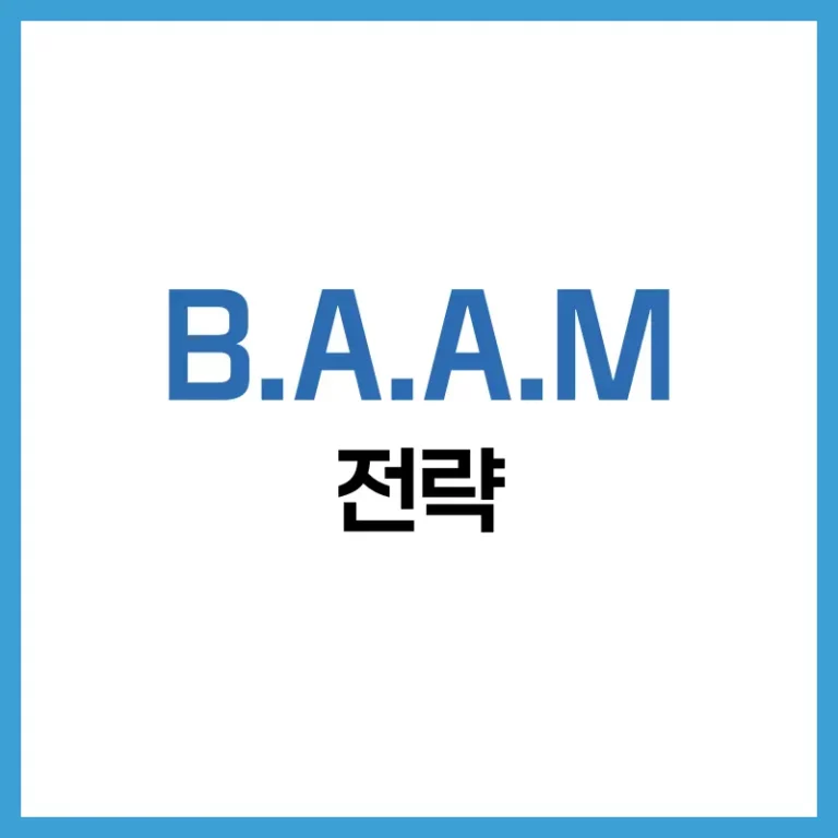 B.A.A.M 전략