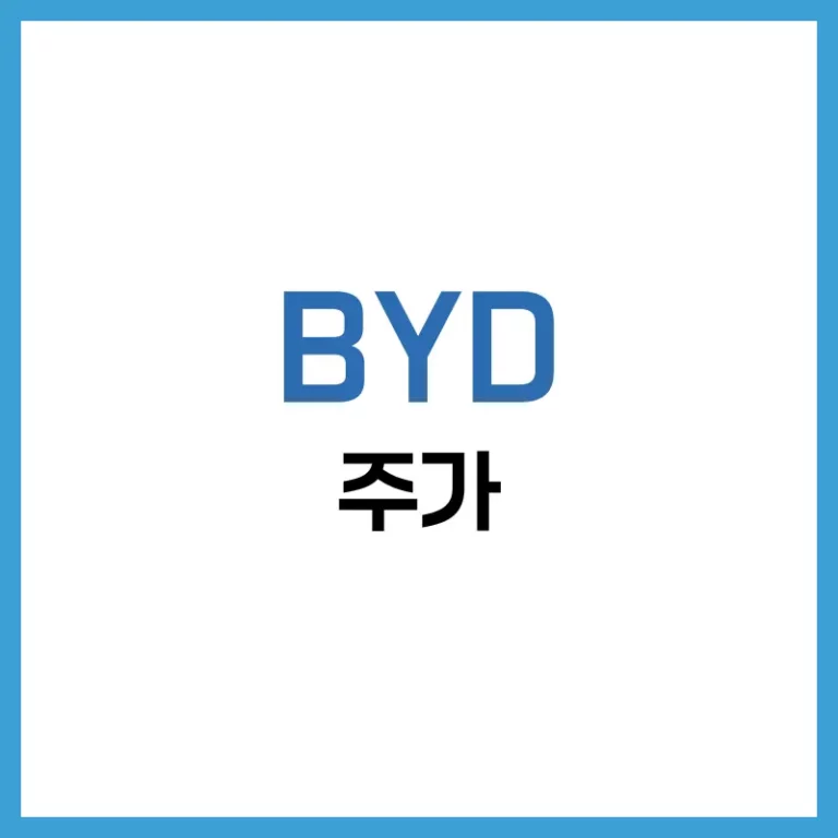 BYD 주식
