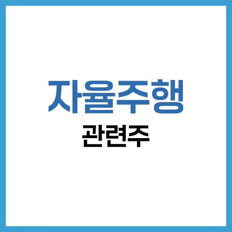 자율주행 대장주