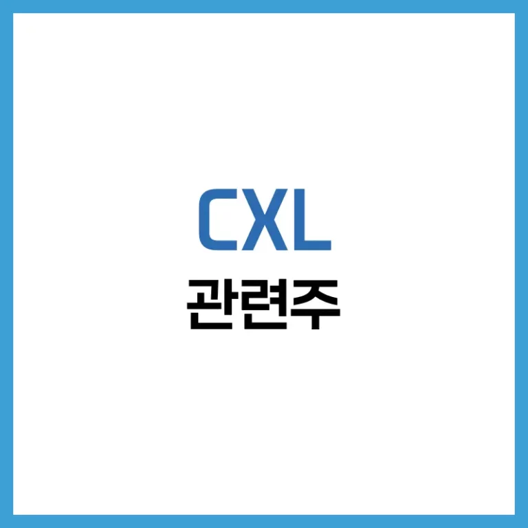 CXL 관련주, 대장주부터 미국주식까지 완전 정복 1 CXL관련주대장주