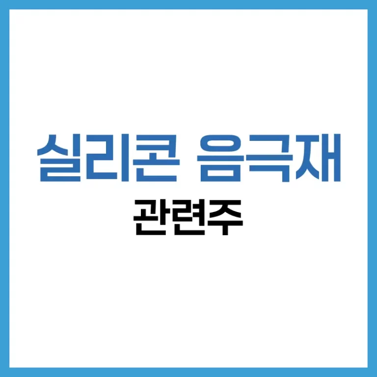 실리콘음극재관련주