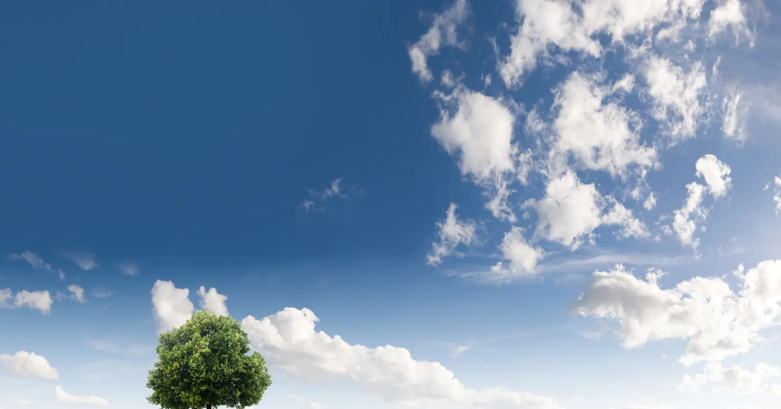 비닐 관련주 투자 추천 및 TOP 7 종목 분석 (2026 최신판) 1 1. 비닐 관련주, 왜 지금 주목해야 할까?