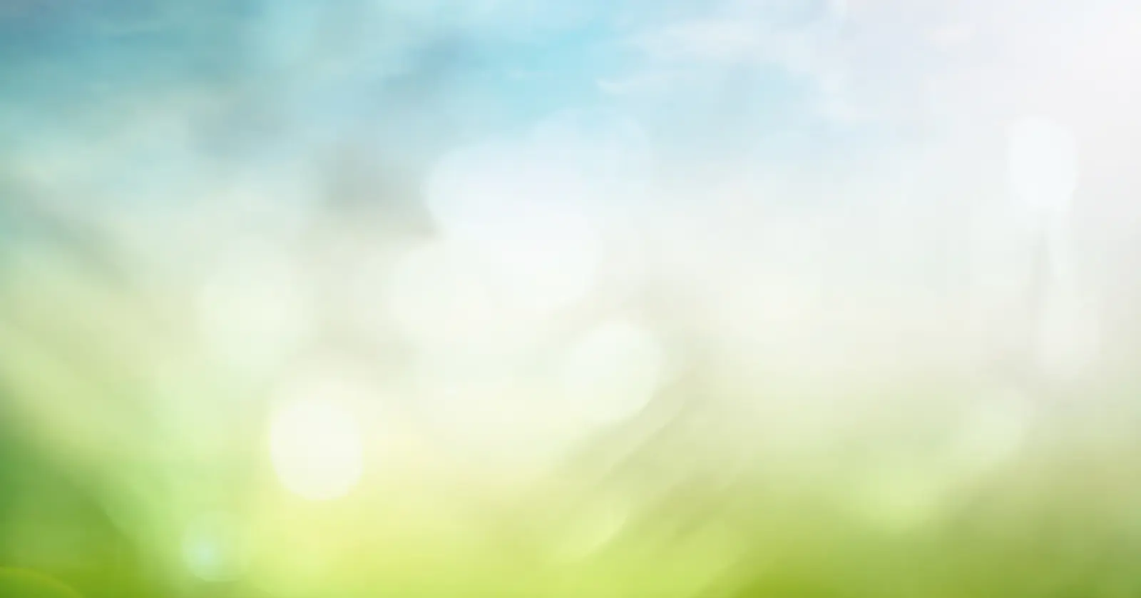 비닐 관련주 투자 추천 및 TOP 7 종목 분석 (2026 최신판) 2 3. 기능성 필름의 강자, 진영(Jinyoung)