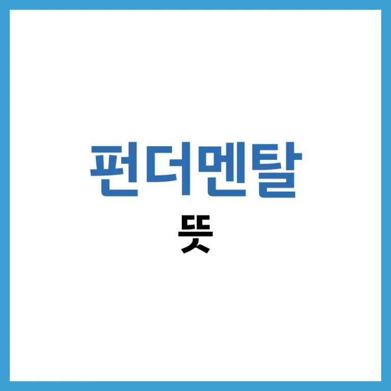 펀더멘탈뜻
